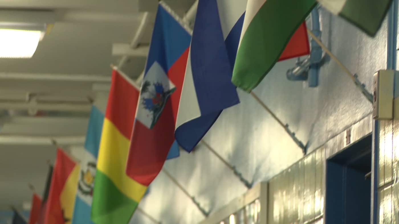 global flags